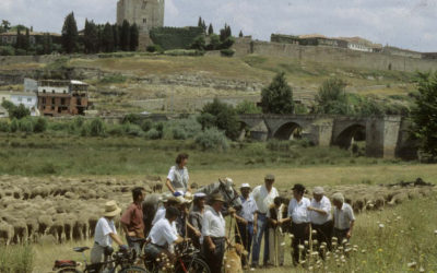 Hoy se cumplen 25 años del comienzo de nuestro proyecto 2001, para recuperar las cañadas de toda España