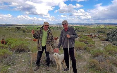 TRASHUMANCIA CONTRA EL CAMBIO CLIMÁTICO