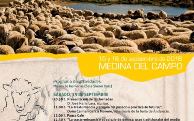 VI JORNADAS SOBRE LA TRASHUMANCIA Y COMERCIO DE LANA