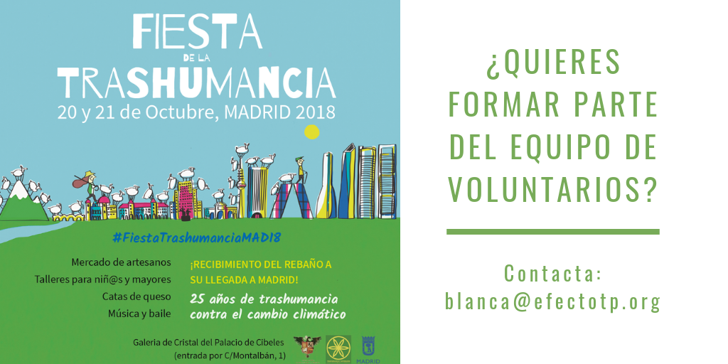 ¿Quieres ser voluntario en la XXV Fiesta de la Trashumancia en Madrid?
