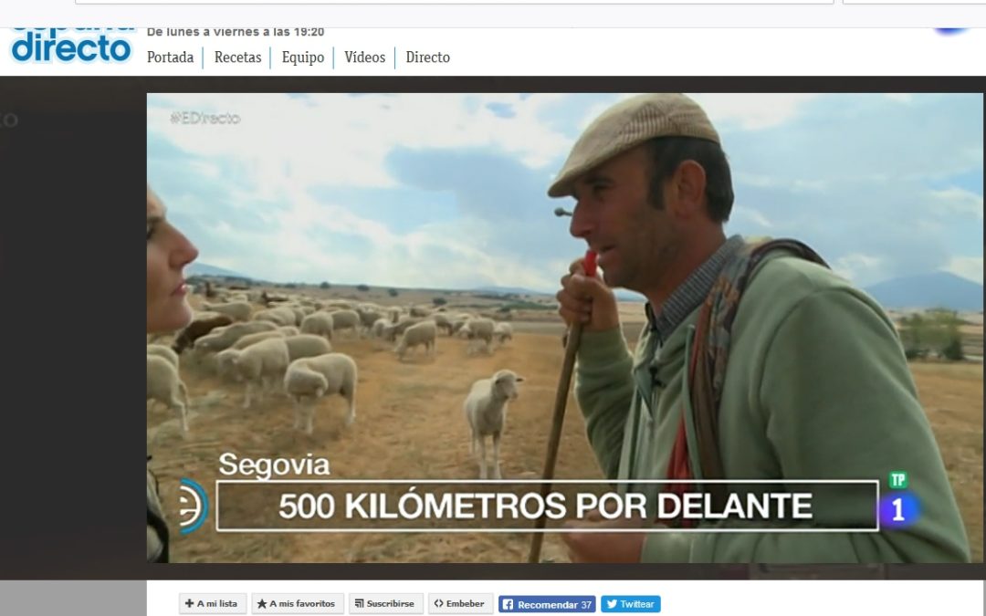 REPORTAJE RTVE “ESPAÑA DIRECTO” EN LA TRASHUMANCIA LLEGANDO A MADRID 18.10.2018