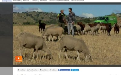 REPORTAJE A D. JUAN MIGUEL DIAZ EN AQUI LA TIERRA (RTVE) 11.11.2018