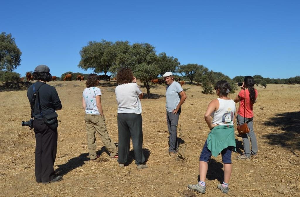 Jornada sobre ganadería y pastoreo sostenible en Europa Mediterránea