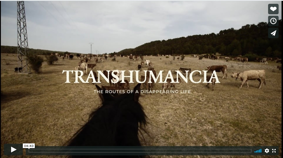 TRASHUMANCIA- THE ROUTES OF A DISAPPEARING LIFE